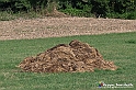 VBS_5294 - La solita strada... il grano da crescere, i campi da arare...
